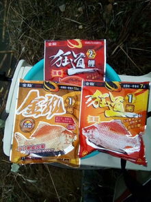 冬季钓鱼饵料腥味调整指南，大腥味是否必要？