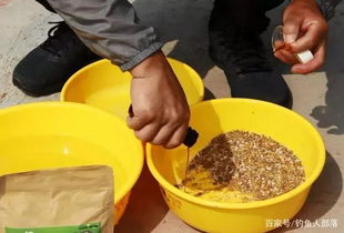 麦芽糖，自制天然钓鱼饵料的绝佳选择
