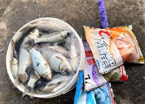 鸭血作钓鱼饵料好吗？怎么用最有效？