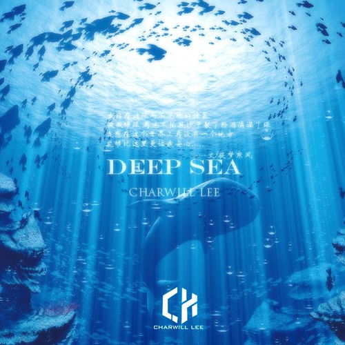 Mastering the Art of Deep-Sea Bottom Fishing:Techniques for Effective Baiting and Lure Casting
