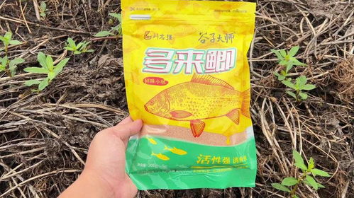 钓鱼饵料是否有效果呢怎么看