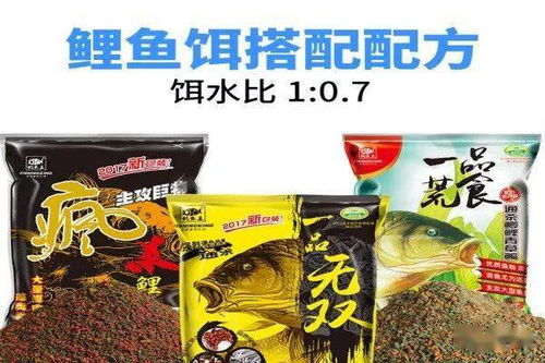 王哥钓鱼饵料怎么样？实战测评告诉你答案！