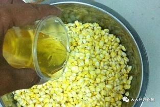 老包谷钓鱼饵料怎么样好用吗？深度解析天然玉米饵料的诱鱼效果与使用技巧