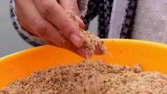 玉米片也能钓大鱼？这些饵料制作技巧你一定要知道