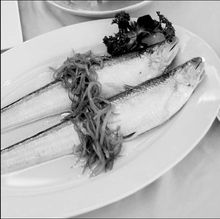 Mastering the Art of Hand竿 Fishing:Essential Tips for Beginners