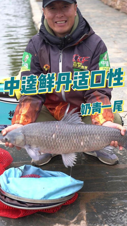吴亚钓鱼饵料黑坑实战评测，一款值得信赖的黑坑饵料