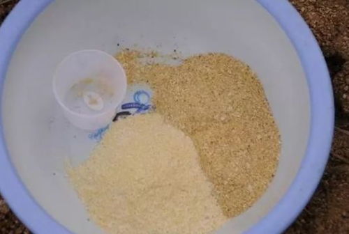 钓鱼饵料怎么调的好一点？饵料调制的秘籍与实战技巧