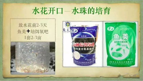 3月份钓鱼饵料怎么配好？春季开饵指南，鱼获翻倍不是梦！