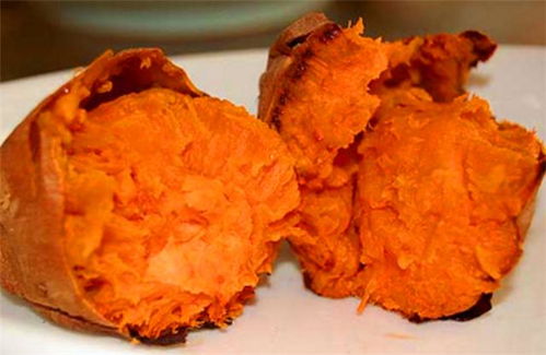 钓鱼饵料烤红薯小药使用全攻略，从入门到精通的钓鱼技巧