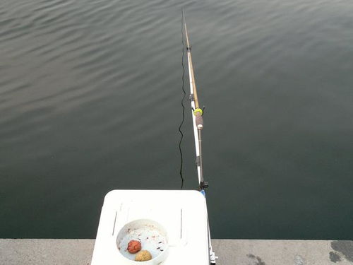 樊哥钓鱼饵料评测，好用吗？怎么样？