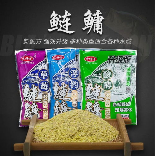 观澜河钓鱼饵料评测，效果、选择与技巧