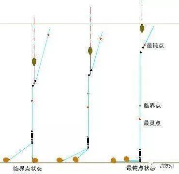 钓鱼饵料分筛器怎么选目数？选购指南与使用技巧全解析