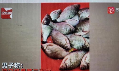 马哥钓鱼饵料使用指南，如何让鱼儿疯狂咬钩的终极秘籍