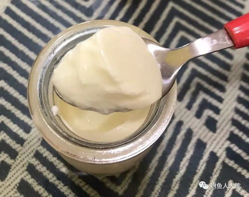 醪糟汤和鲫鱼饵料，钓鱼效果大揭秘