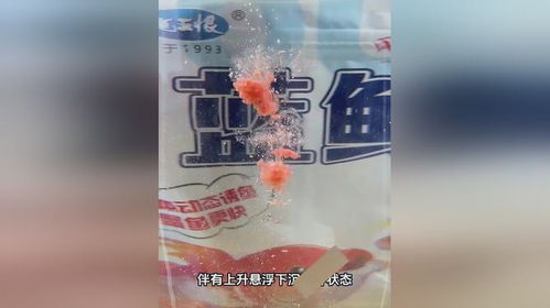 马水河钓鱼饵料怎么样用，从选择到实战技巧全解析