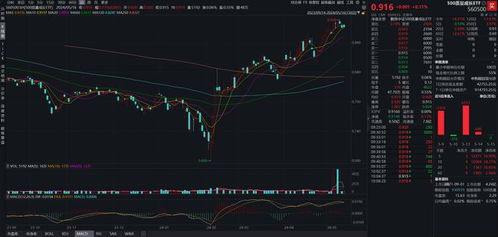 标普500成份股广达公司早盘上涨4.3%