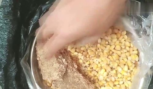 肉松钓鱼饵料黄金配方大揭秘！这样配饵，鱼儿见了都疯狂咬钩！
