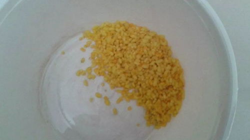 如何用粘粉蘸酒米制作钓鱼饵料，详细指南