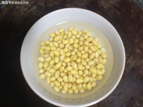 煮熟后的豌豆，低成本、高效率的钓鱼饵料制作指南
