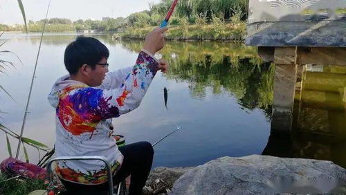 钓鱼饵料不正经，白条儿怎么钓？反向操作，钓出意想不到的收获！