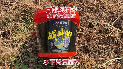 小麦王钓鱼饵料实战测评，这款饵料到底好不好用？
