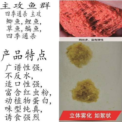 揭秘，为什么钓鱼饵料一入水就散了？从成分到环境的全面解析