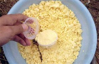 蛋皮做钓鱼饵料怎么做的？一份简单实用的教程