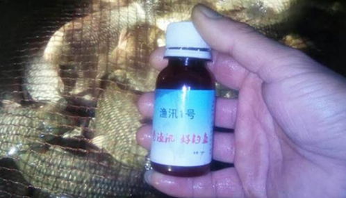 阿忙钓鱼饵料怎么样好用吗，全面评测与使用心得