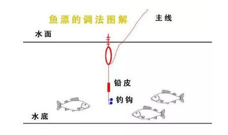 黄哥钓鱼饵料怎么用？手把手教你用视频轻松掌握钓鱼技巧！