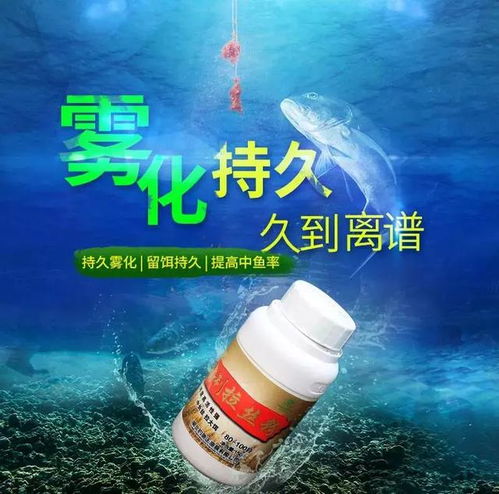 钓鱼饵料一直散开怎么办，全面解决方案与实用技巧