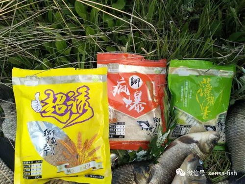 四季流水钓鱼饵料选择与使用技巧