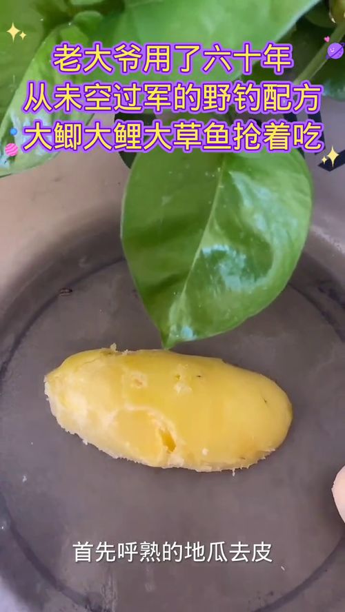 金银花钓鱼饵料制作全攻略