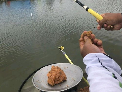 钓鱼饵料空钩粘钩怎么办，原因分析与解决方法