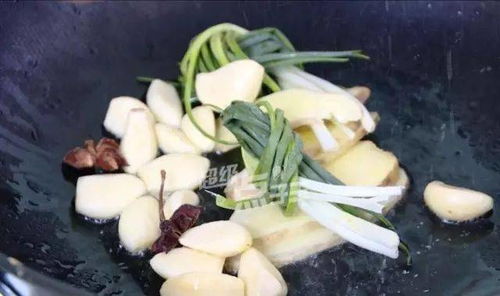 大味型钓鱼饵料，钓鱼人的秘密武器？