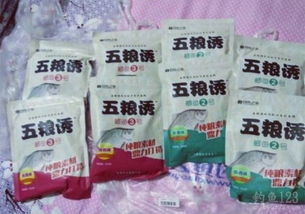 上庄钓鱼饵料怎么样好用吗？实战测评告诉你答案！
