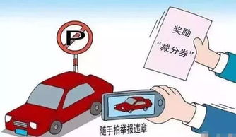 钓鱼饵料监管揭秘，如何举报违规行为？