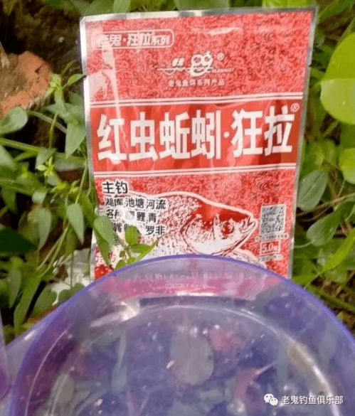 钓鱼饵料配比全攻略，从零开始配一大桶完美饵料