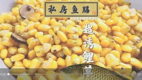钓鱼饵料怎么配千里香，从零开始的配制指南
