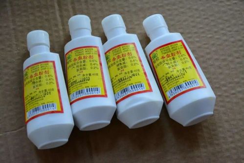 钓鱼饵料放葡萄糖吗？怎么放？钓鱼饵料之王的使用秘籍