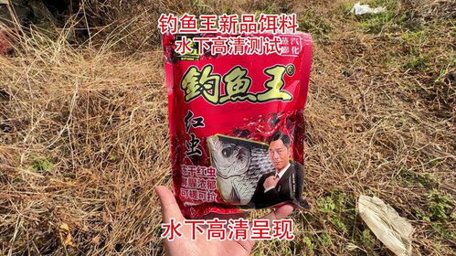 女钓王钓鱼饵料怎么样？深度评测与实战体验