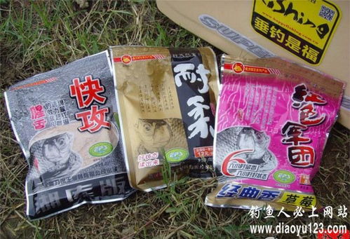 小丽爱钓鱼饵料怎么样，全面评测与推荐