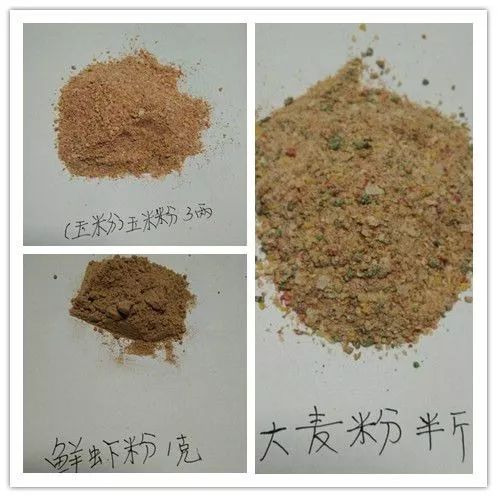 钓鱼饵料怎么配置的好一点