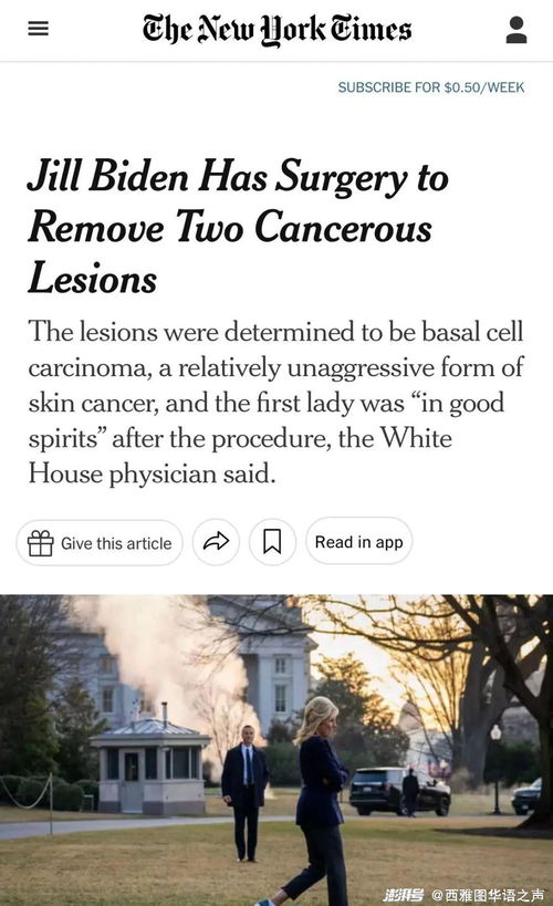 美国参议员调查苹果、Meta等大公司聘用外籍员工问题