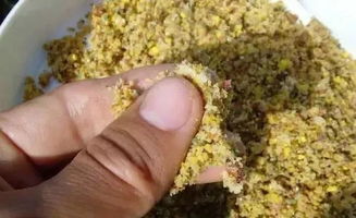 普通人的钓鱼饵料怎么做，简单易行的自制配方指南