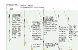 洛伦兹钓鱼饵料怎么样，全面评测与用户反馈