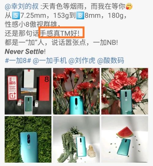 舟三公司钓鱼饵料怎么样，全面评测与用户反馈