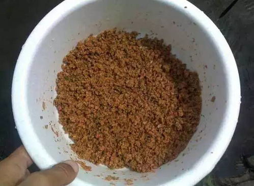 钓鱼饵料结块还能用吗？这些方法帮你解决！