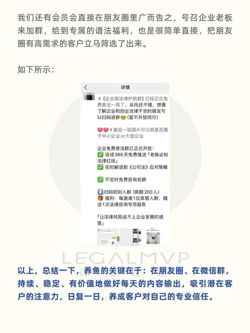 在朋友圈卖钓鱼饵料，可行吗？分析与建议