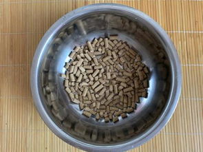 金沙江蚕，钓鱼饵料中的天然瑰宝