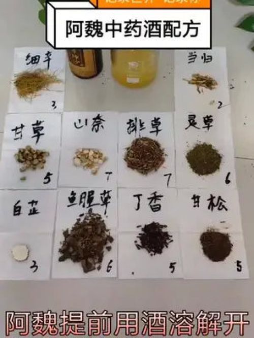 户外野钓饵料选择指南，从入门到精通的实用技巧